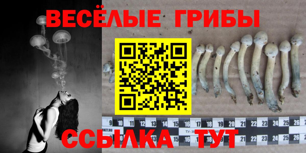 Псилоцибиновые грибы ЛСД  Псилоцибиновые грибы Magic Shrooms  Вход с VPN  Братск 